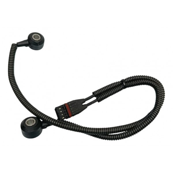 Sensor Detonação Bmw 335 2015