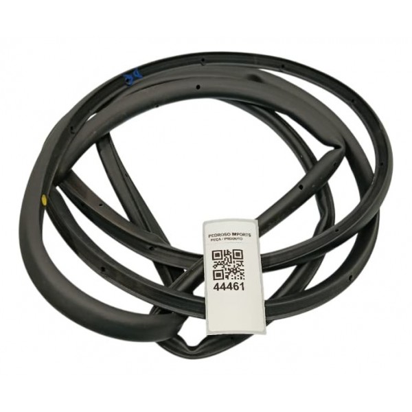 Borracha Porta Dianteira Esquerda Byd Song Plus 24/25