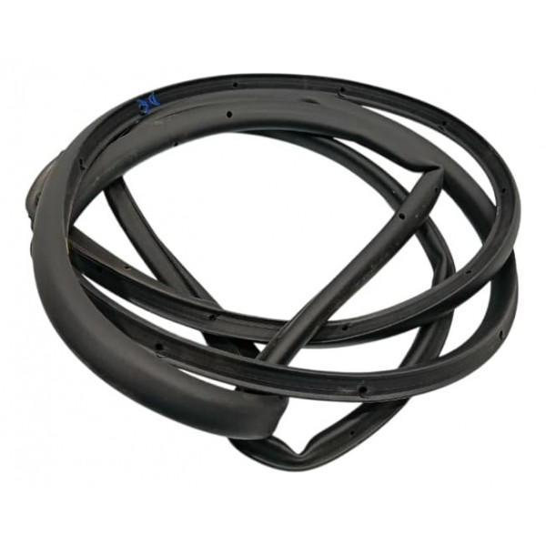 Borracha Porta Dianteira Esquerda Byd Song Plus 24/25