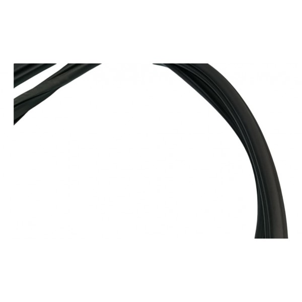 Borracha  Porta Traseira Direita Byd Song Plus 24/25