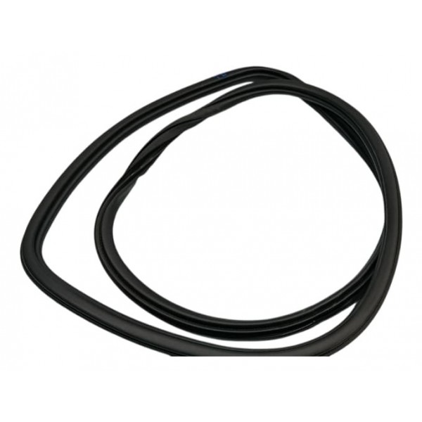 Borracha  Porta Traseira Direita Byd Song Plus 24/25