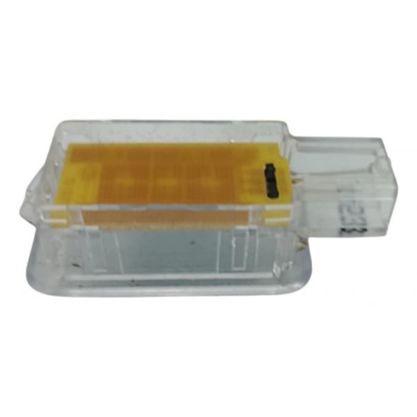 Luz Cortesia Range Rover Sport 3.0 D350 2024