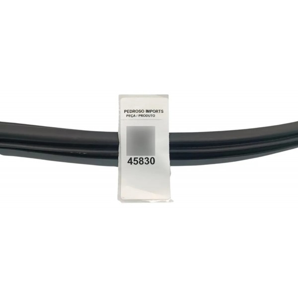 Borracha De Porta Traseira Esquerda Volvo S60 2020