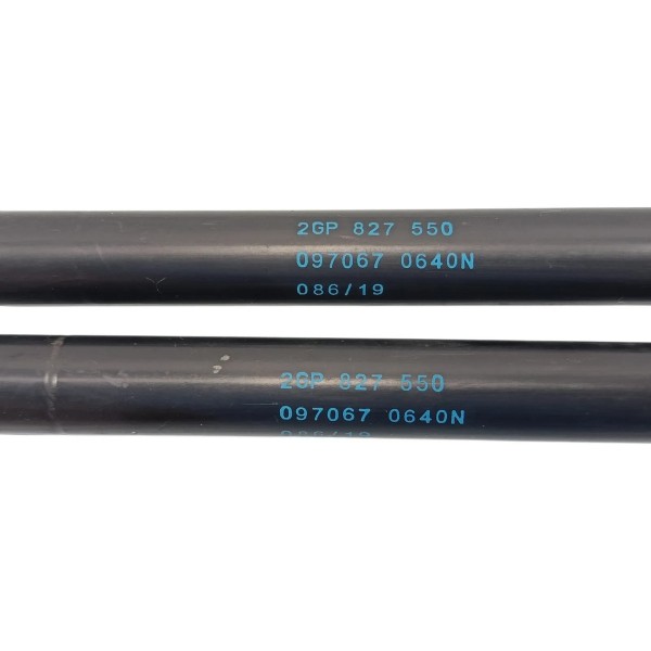 Par Amortecedor Tampa Traseira Porta Malas Vw T-cross 2021