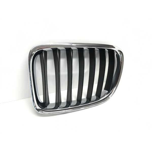 Grade Dianteira Esquerda Bmw X1 E84 51112993307 - Preto - Esquerdo