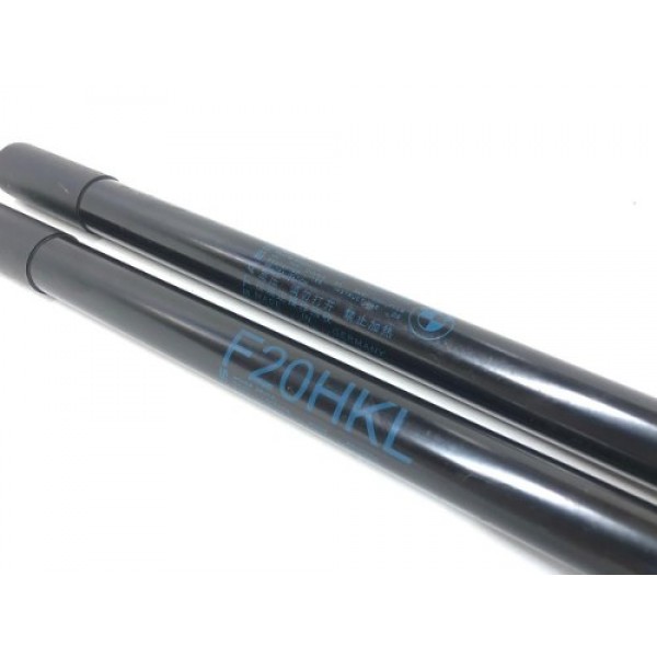 Amortecedor Capô Traseiro Bmw 125 F20 2015 7239871