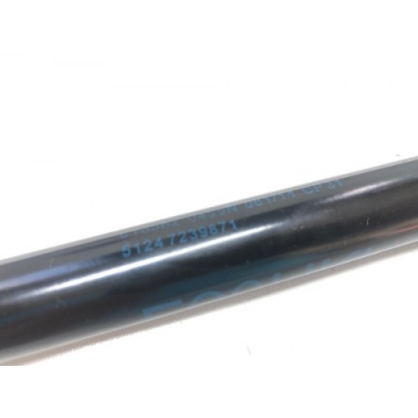 Amortecedor Capô Traseiro Bmw 125 F20 2015 7239871