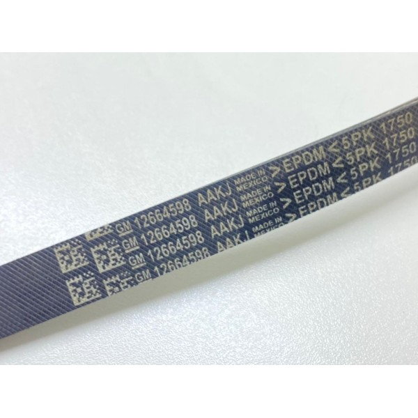 Correia 5pk Chevrolet Equinox Premier 2019 (12664598)