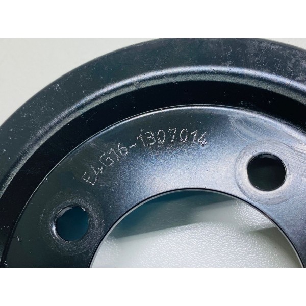 Polia Bomba Água Chery Tiggo 5x 2020 Cód. E4g161307014