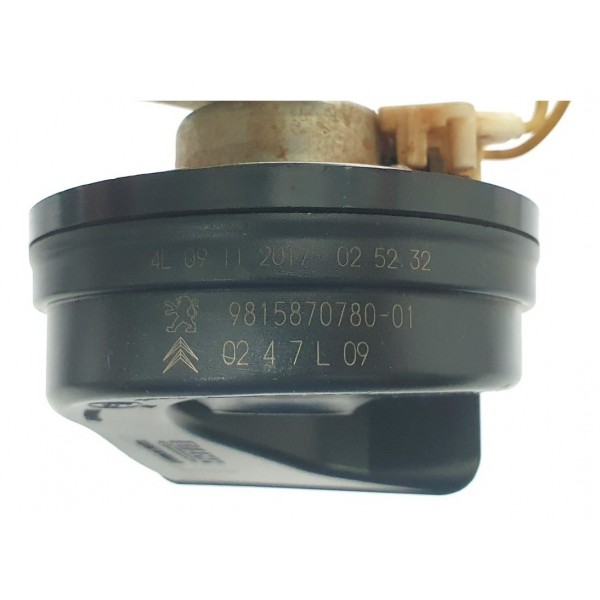 Buzina Peugeot 3008 1.6 Thp 2018 Cód. 981587078001