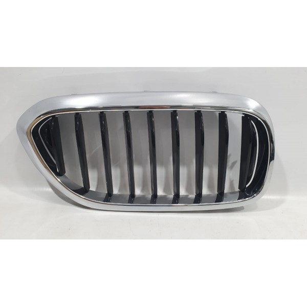 Grade Dianteira Bmw Série 5 G30 Brilhante