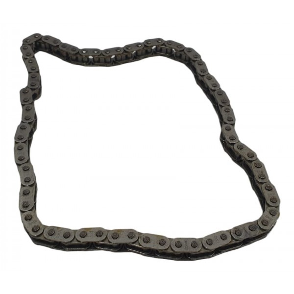 Corrente Motor Bmw X5 V8 N63b44b 2015 Prateado