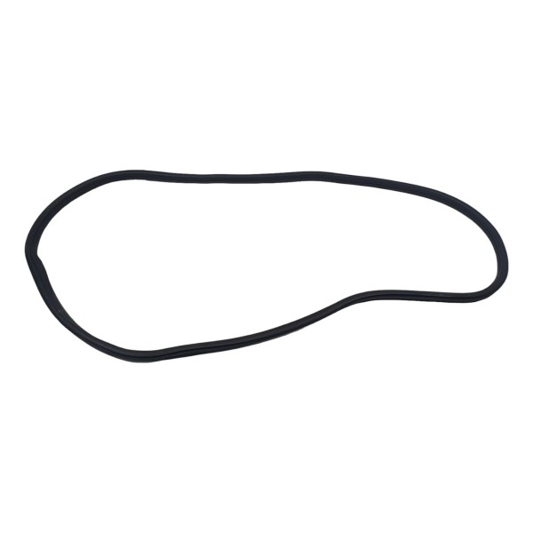 Borracha Porta Traseira Direita Bmw 320i M Sport 2022
